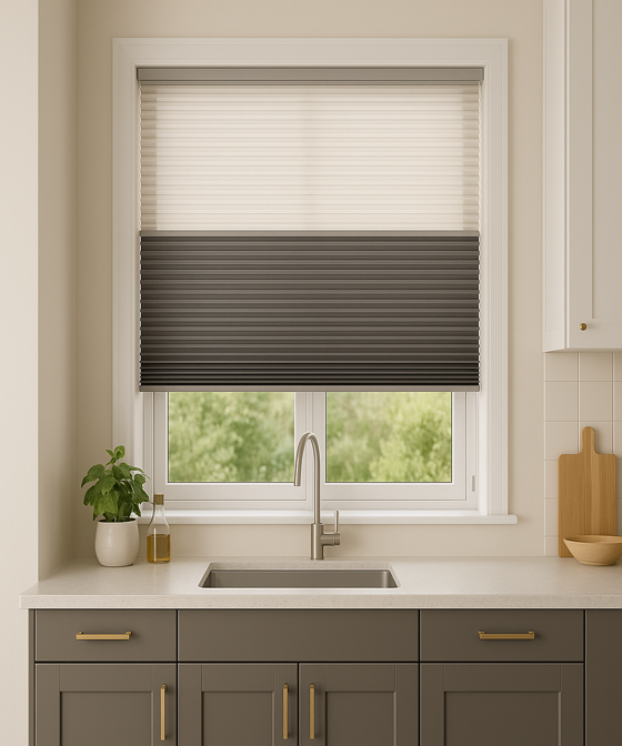 Night Day Duo Pleated Blinds