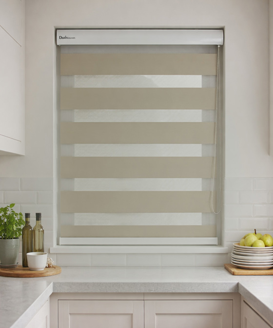 Day and Night Blinds DN28W-B